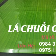 Lá Chuối LG 07